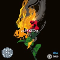 Can't Adjust - Single - WorldTourWoo