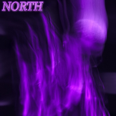 North - Single