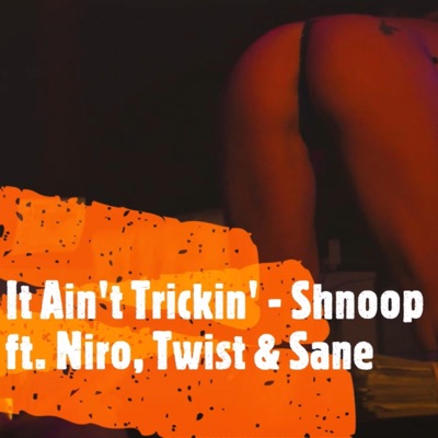 It Ain't Trickin' - Single