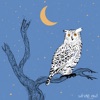 mvnitou - White Owl