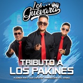 Tributo a los Pakines: A Donde Iras / Que Chevere / Amaneciendo / El Venao artwork