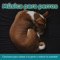 Ayuda a Tu Perro a Dormir - Dog Music Dreams & Relaxmydog lyrics