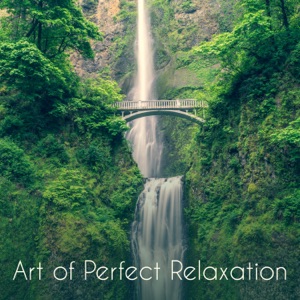 Art of Perfect Relaxation: Oasis of Harmony, Awareness of Nature, Zen Rest, Calming Project
