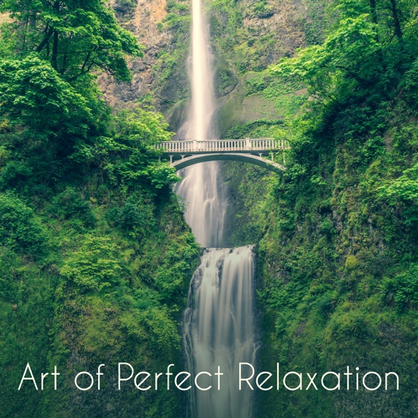 Art of Perfect Relaxation: Oasis of Harmony, Awareness of Nature, Zen Rest, Calming Project