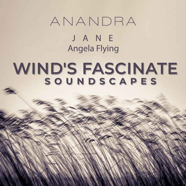 Wind's Fascinate Sounscapes