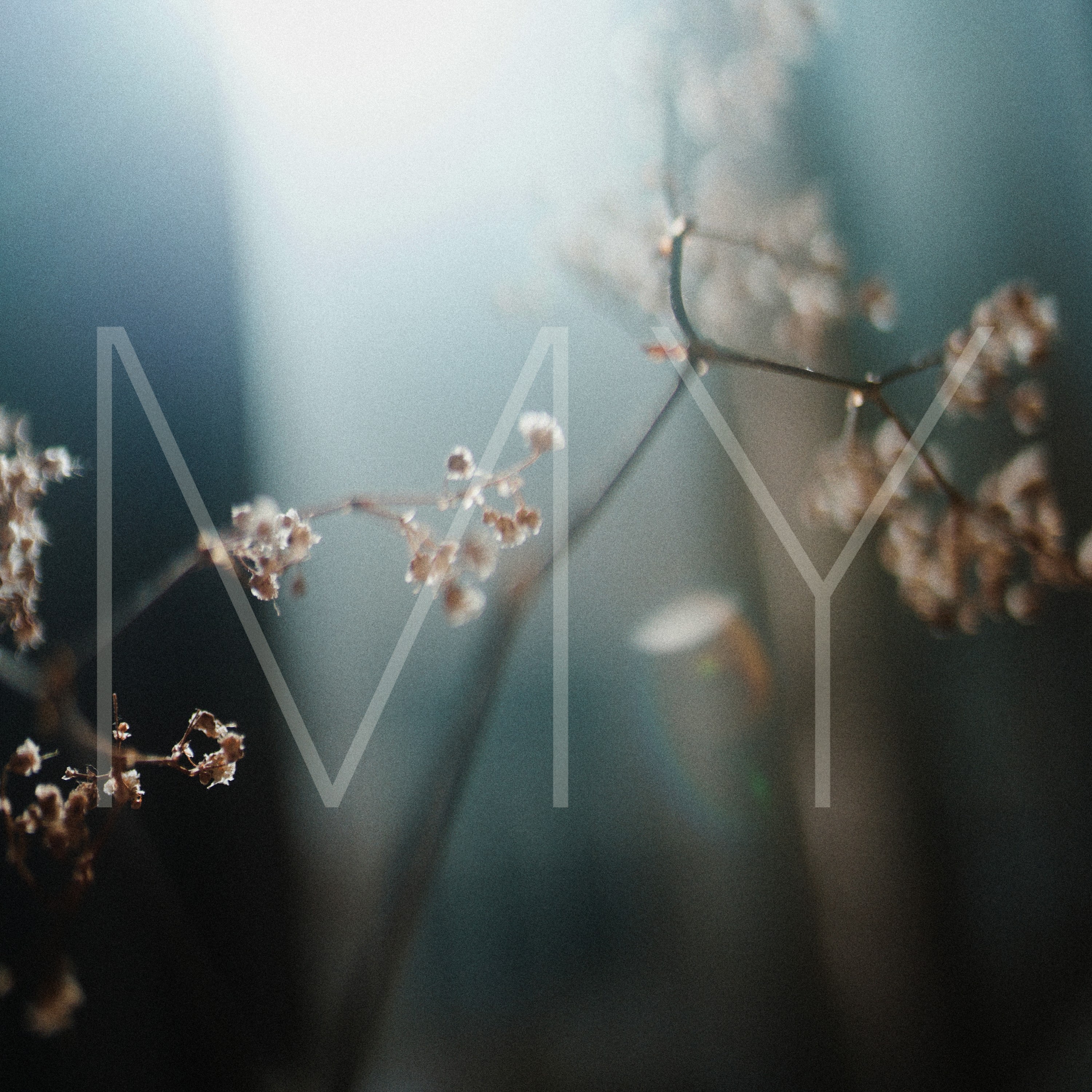 My Private Couch Beats, Vol. 6