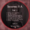 Sarcasmos V.A. Vol. 1