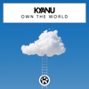 Own the World - Single