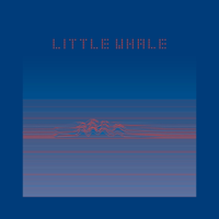 Whale Boy-Little Whale