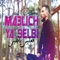 Ma3lich ya 9albi - Djalil Palermo lyrics
