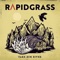 Down the Line - Rapidgrass lyrics