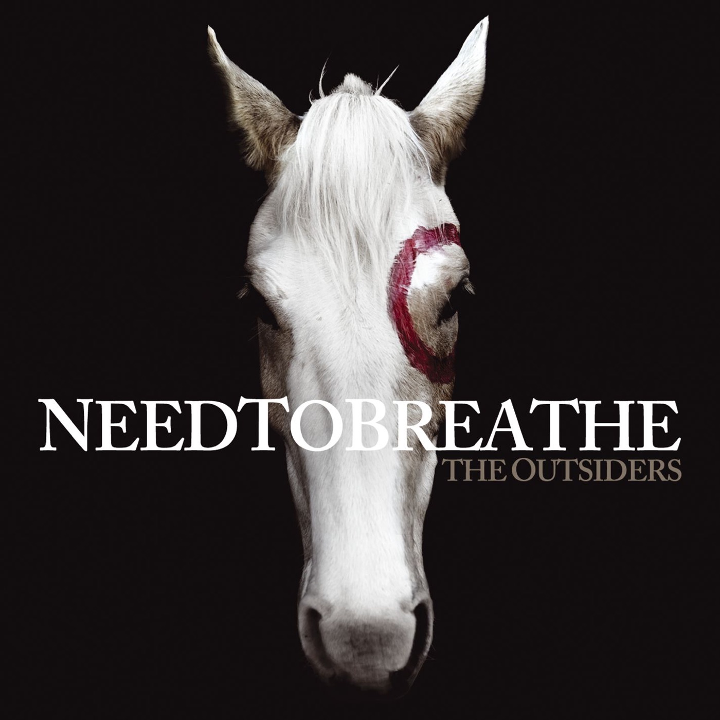 The Outsiders by NEEDTOBREATHE