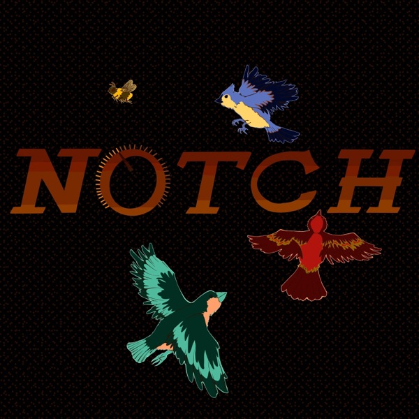 Notch (feat. Alize) - Single