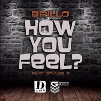 How You Feel (feat. Styles P) - Single - Brillo