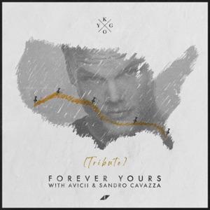 Forever Yours (with Avicii & Sandro Cavazza) [Avicii Tribute]