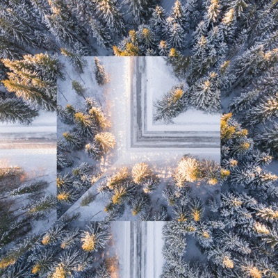 Winter (Naughta Remix) - Single