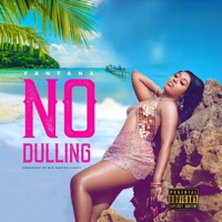 No Dulling - Single - Fantana