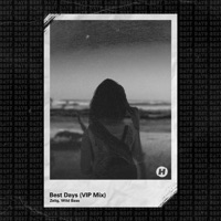 Best Days (Alternate Version) - Single - Wild Bass & Zelig