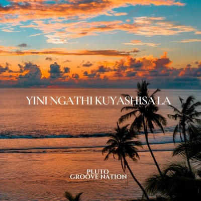 Yini Ngathi Kyashisa La (feat. Groove Nation) - Single
