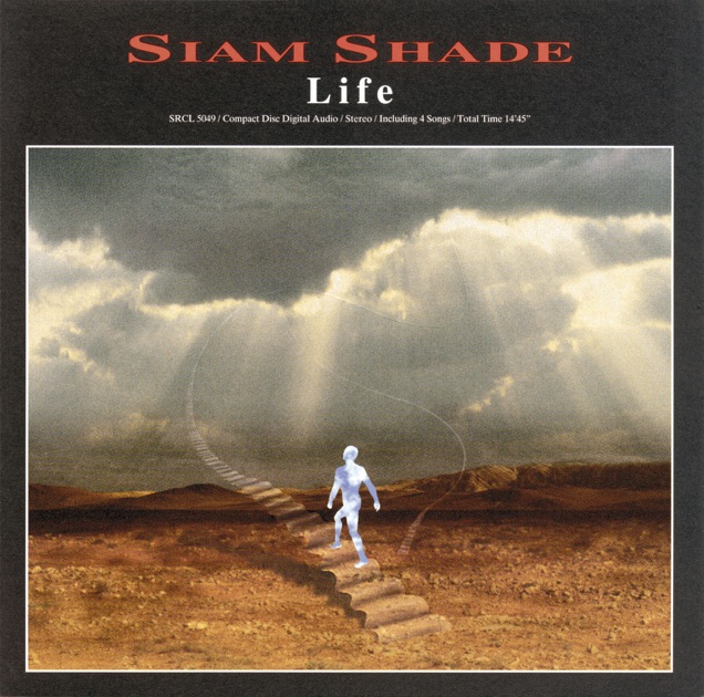 SIAM SHADE VIII B-side Collection - SIAM SHADEのアルバム