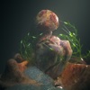 Barnacles (Kode9 Remix) cover art