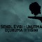 Şenol Evgi - Unutma Uçuruma İttiğini artwork