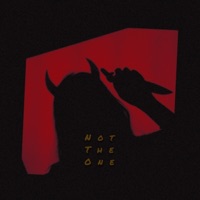 Not the One - Single - Lony