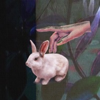 Exterior - Single - Fona & Bertholet
