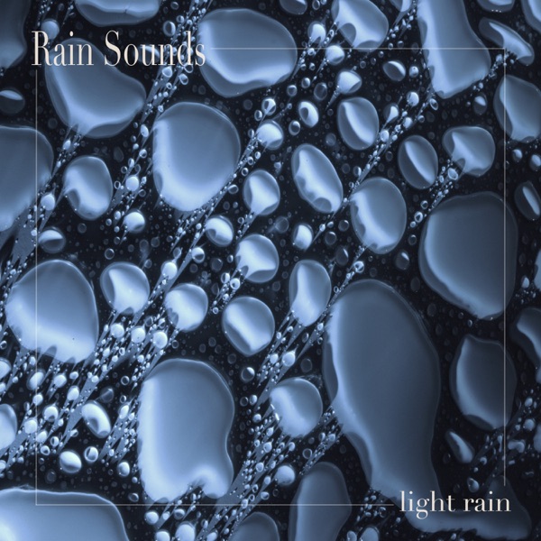 Light Rain