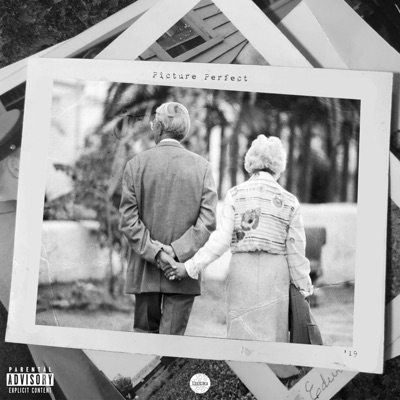 Picture Perfect - Single