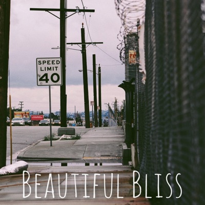 Beautiful Bliss (feat. Nasir Ali) - Single