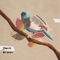 Frontera - Bye Bombay lyrics