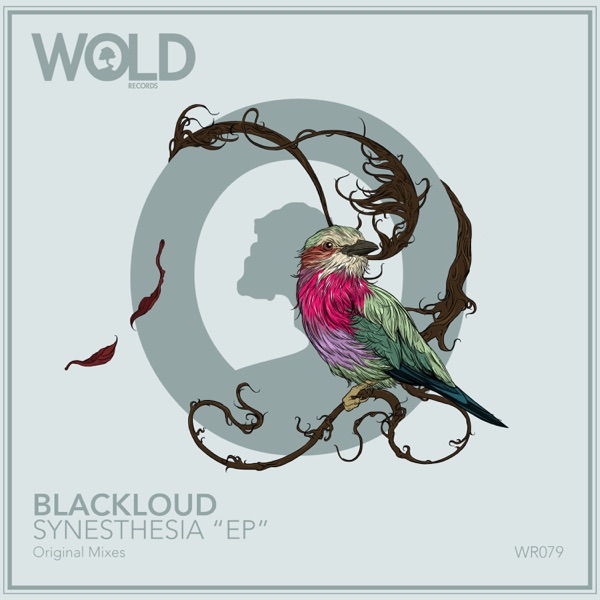 Synesthesia - Single