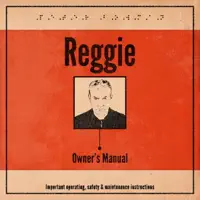 Let's Love Not Fight — Reggie