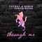 Through Me - Curtis Richa, Robin & Toyboy lyrics