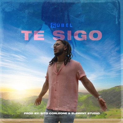 Te Sigo - Single