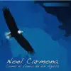 Noel Carmona - En Tu Presencia