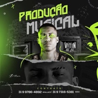 Muita Loucura 010 (feat. Dj Ph Da Serra, Dj Cotta, Mc Theuzyn, Mc Rennan & Mc 7Belo) - Single - DJ Vitin do PC