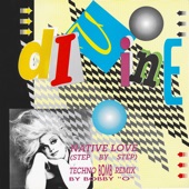 Native Love (Disconet Remix) artwork