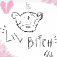 Lil Bitch (feat. Kevinshawty) - Single - lilana
