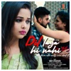 Dil Laya Hi Nahi (Original Motion Picture Soundtrack) - Single