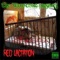 Destructo (feat. JxKxm & Bushpig) - Damnednation lyrics