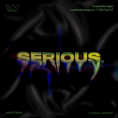 Serious (feat. TEDDYTHELEGACY & the Teeta) - Single