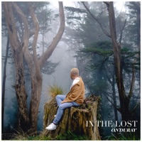 In the Lost - Single - Onduray
