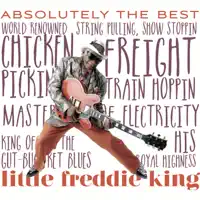 Messin' Around Tha House — Little Freddie King
