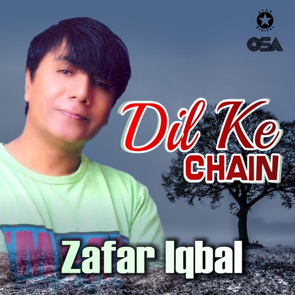 hum bewafa hargiz na the hum bewafa hargiz na the