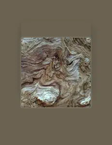 Poslechněte si interpreta Demibird, sledujte hudební videa, přečtěte si životopis, podívejte se na data turné a další informace.