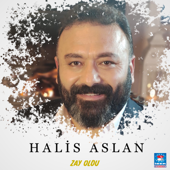 Zay Oldu (feat. Kıvırcık Ali) - Halis Aslan