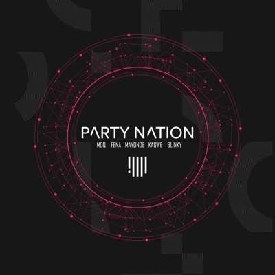 Party Nation - Single