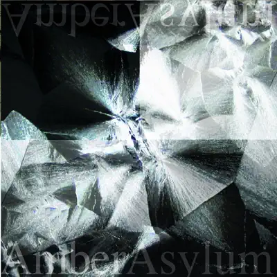 Listen to Still Point by Amber Asylum